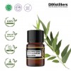 2ML GS 