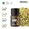 5ML GS 
