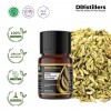 10ML GS 