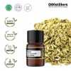 2ML GS 