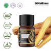 5ML GS 