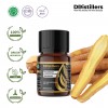 10ML GS 