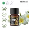 10ML GS 