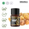 5ML GS 