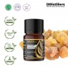 10ML GS 