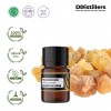 2ML GS 