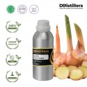 Galangal / Lengkuas Dapur Essential Oil Pure 100% | Alpina Officinalis