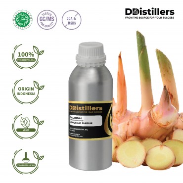 Galangal / Lengkuas Dapur Essential Oil Pure 100% | Alpina Officinalis