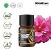 5ML GS 