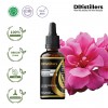 100ML GS 