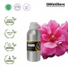 500ML SS 