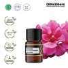 2ML GS 