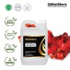 2L HDPE 