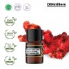 2ML GS 