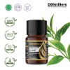 5ML GS 