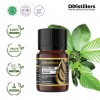 5ML GS 