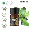 10ML GS 