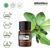 2ML GS 