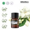 2ML GS 