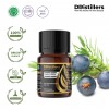 10ML GS 