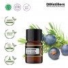 2ML GS 
