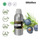 Juniper Berry / Juniper Berry Essential Oil Pure 100% | Juniperus communis