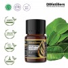 5ML GS 
