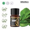 10ML GS 