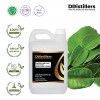 2L HDPE 