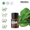2ML GS 