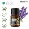 5ML GS 