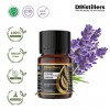 10ML GS 