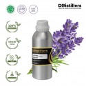 Lavender / Lavender Essential Oil Pure 100% | Lavandula latifolia