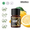 5ML GS 