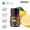 10ML GS 