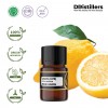 2ML GS 