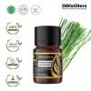 5ML GS 