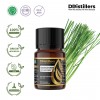10ML GS 