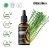 100ML GS 