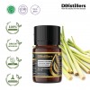 5ML GS 