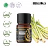 10ML GS 