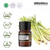 2ML GS 