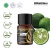 10ML GS 