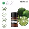 2ML GS 