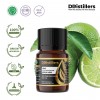 5ML GS 