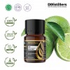 10ML GS 