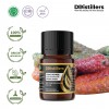 5ML GS 