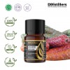 10ML GS 