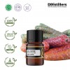 2ML GS 