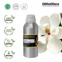 Magnolia / Cempaka Putih Absolute Oil Pure 100% | Magnolia Champaca (Michelia alba)